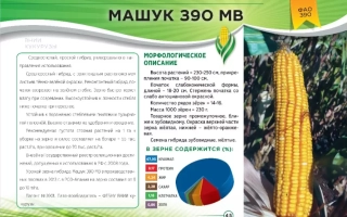 ЮБИЛЕЙНЫЙ 390 МВ