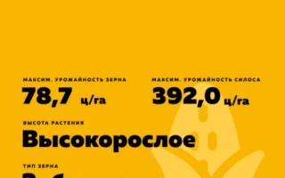 УРАЛЬСКИЙ 150