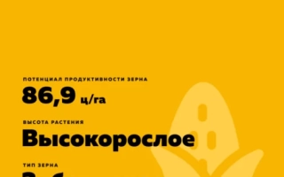 ВОРОНЕЖСЬКИЙ 230 СВ