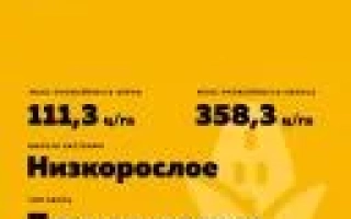 ВОРОНЕЖСКИЙ 266 МВ