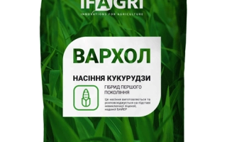 Вархол