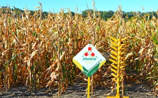 Залищицкий 191 СВ