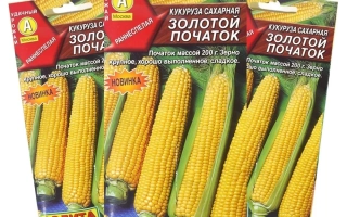 ЗОЛОТОЙ ПОЧАТОК 182 МВ