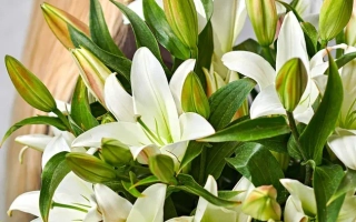 Барнаульская