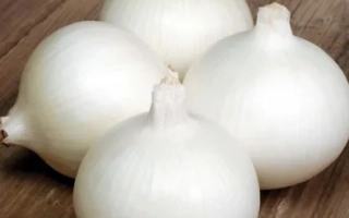 БЕЛЛО БЛАНКО F1