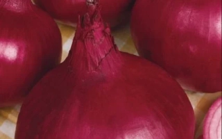 Пакет семян лука репчатого Былина