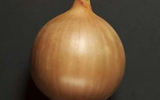 Цибуля на темному фоні - Центро