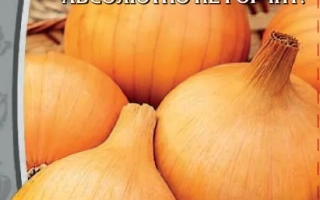 Пакет семян лука сорта Экстерн