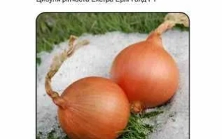 Екстра Ерли Голд F1