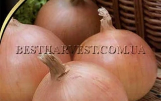 Пакет семян лука сорта Феодал на фоне плетёной корзины