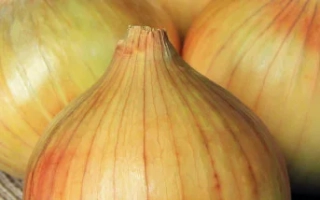 Семенной пакет лука Фермер Ранний