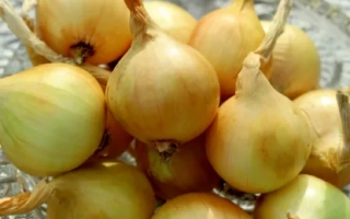 Гордость Урала