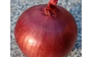 Грейтфул Ред F1