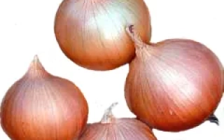 Хай Кипер F1