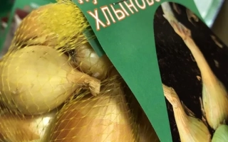Пакет семян лука сорта Хлыновский