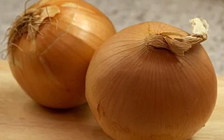 Два целых лука на деревянной поверхности - Кентавр