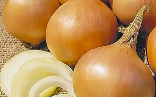 Свежий лук на мешковине с нарезанными кольцами - Колобок