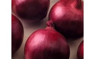 Красный Цеппелин F1