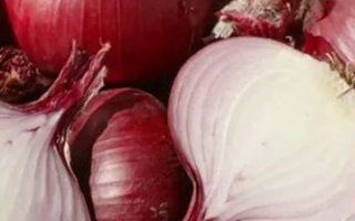 Красные луковицы сорта Красный Кардинал