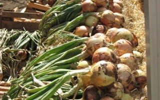 Кузьмичевский