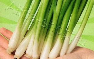 Молодо-Зелено