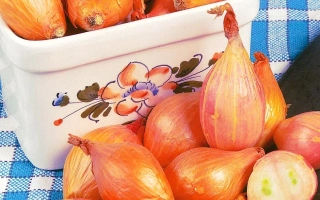 Монастырский