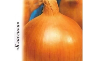 Пакет с семенами репчатого лука Глобо - Муссон