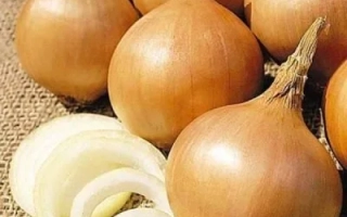 Однолетний Сибирский