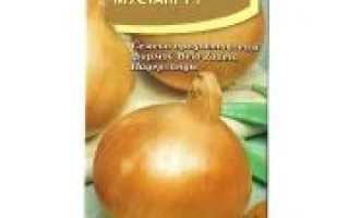 Пакет семян лука сорта Мустаин F1 - ОСТРЯК