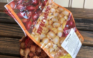 Пакет с луком сорта ОЗЕРСКИЙ на деревянной поверхности - Озёрский