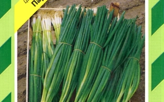 Пакет семян лука сорта Параде