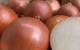 Свіжий цибуля з нарізаним шматочком - ПХ 07713119