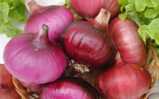 Корзина с красными луками на фоне зелени - РАННИЙ РОЗОВЫЙ