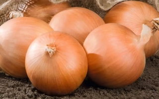 Свіжі цілі цибулини цибулі на темному фоні - Роухайд