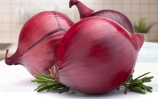 Красные луковицы с розмарином на светлом фоне - РЭДМЭЙТ