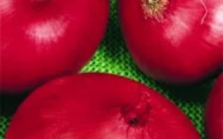 Пакет семян лука сорта Ретро