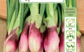 Роза ДИ Ференце