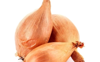 Северный Блюз