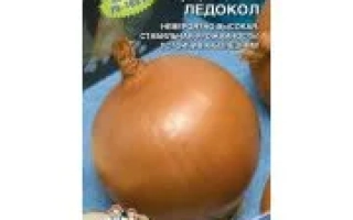 Сибирский Лекарь