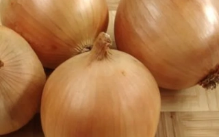 Лук Сталагміт від MoravoSeed