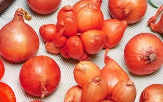 Старообрядческий