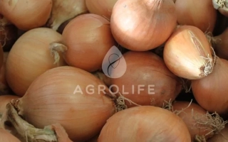 Свіфт від AGROLIFE — цибуля в упаковці