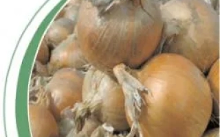 Фотография лука на земле без названия продукта - Тареско F1