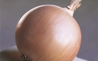 Свіжа цибуля сорту Thunderstone на дерев'яній підставці - Тандерстоун