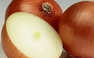 Красный лук Vision на белом фоне, один плод разрезан пополам - ВИЗИОН