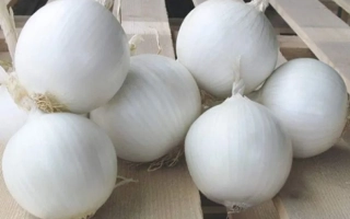 Вайт Маджестик