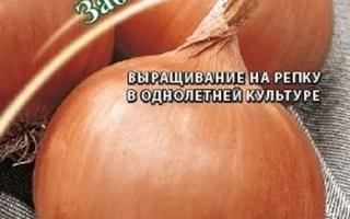 Семена лука сорта Дурманский Забияка на упаковке