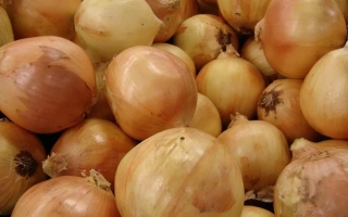 Золотистый Чиполлино