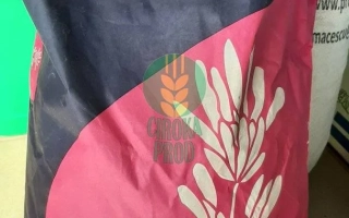 Пакет семян мас-сида - ГАЛАКСИ МАКС