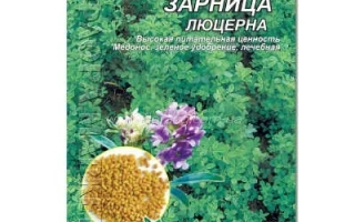 Зарница / Зарниця